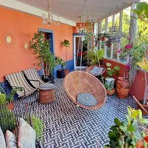 Aspa - Urban Conscious Living *** Funchal (Madeira)